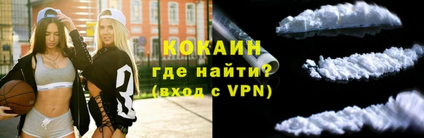прущие грибы Покров
