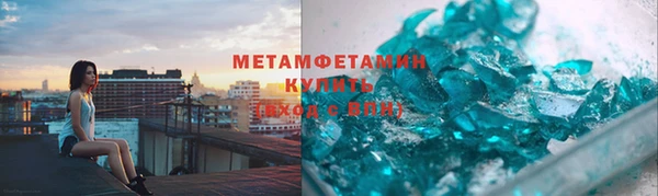 прущие грибы Покров