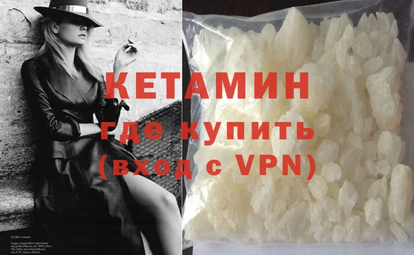 прущие грибы Покров