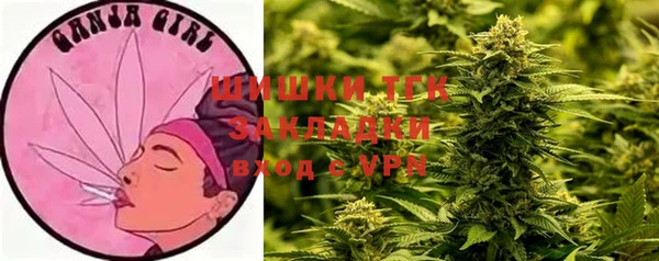 стафф Покровск