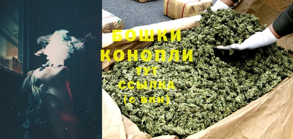 прущие грибы Покров