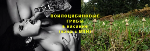 прущие грибы Покров