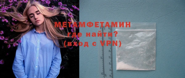 прущие грибы Покров