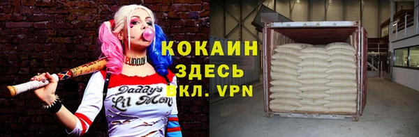 прущие грибы Покров