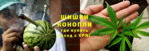 прущие грибы Покров