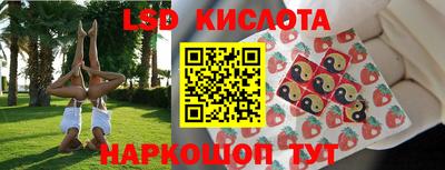 СК Рыбинск