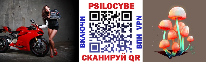 Псилоцибиновые грибы мицелий  купить   Шахты 