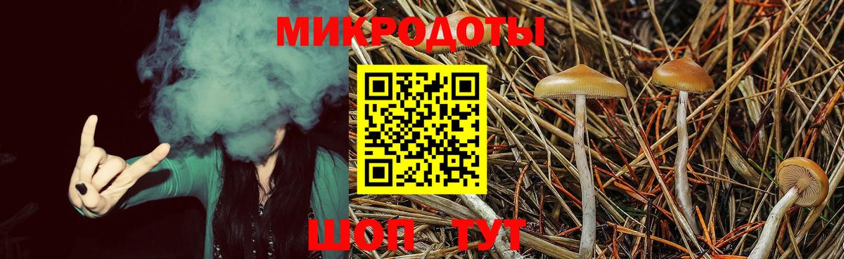 Псилоцибиновые грибы Psilocybe  Псилоцибиновые грибы MAGIC MUSHROOMS  Шахты  Вход с VPN 