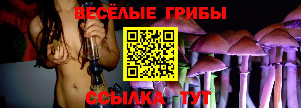 Псилоцибиновые грибы Psilocybine cubensis Шахты